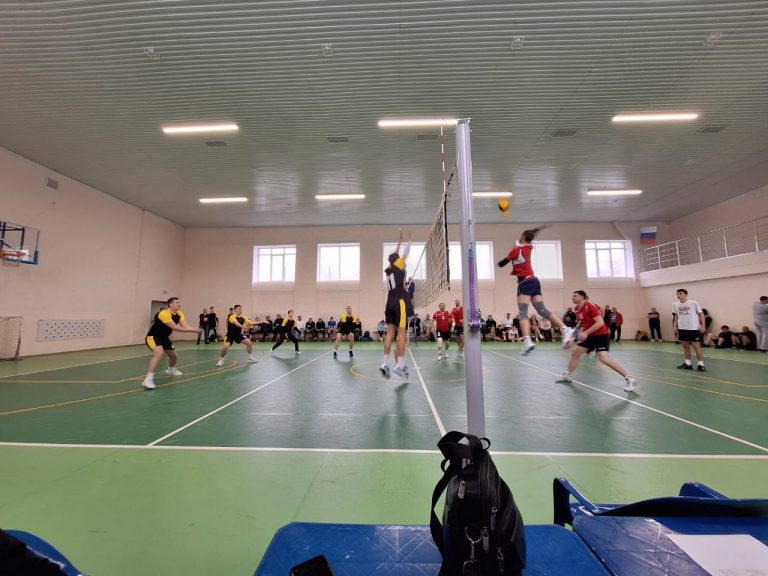 Волейбол студенческая лига (юноши/ девушки)